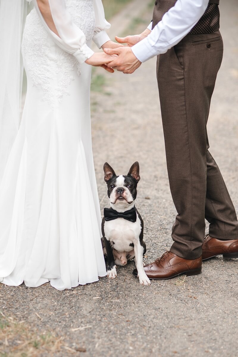 Hochzeitsshooting mit Hund