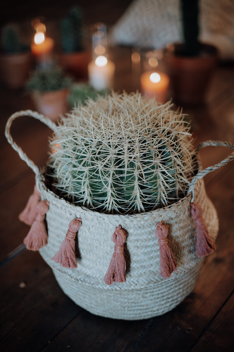 Kaktus Hochzeitsdeko