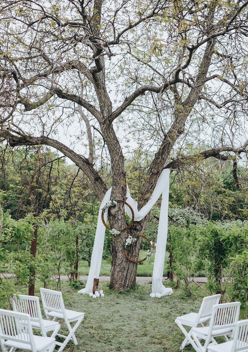 Hochzeitsbogen an einem Baum