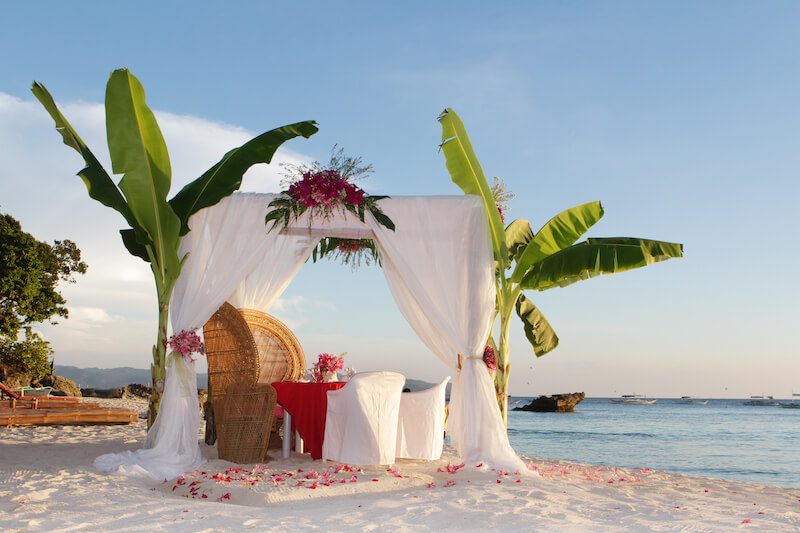 Tropischer Hochzeitsbogen