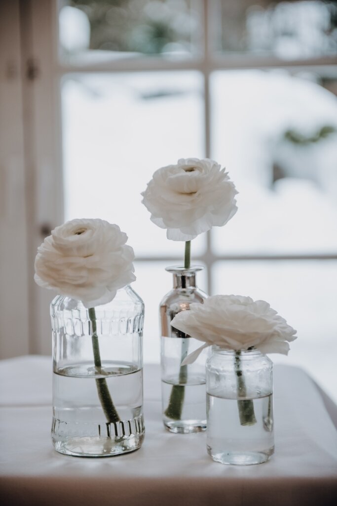 Weiße Rosen vor weißem Schneepanorama